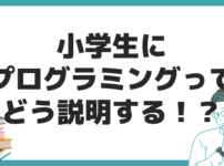 小学生 プログラミング プログラマー