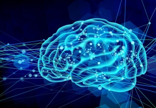 学習効率の最大化: 脳科学の力を借りて