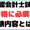 公認会計士 試験内容 例